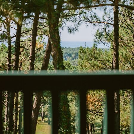 70 Hectares... Et L'Ocean Ξενοδοχείο Seignosse Εξωτερικό φωτογραφία